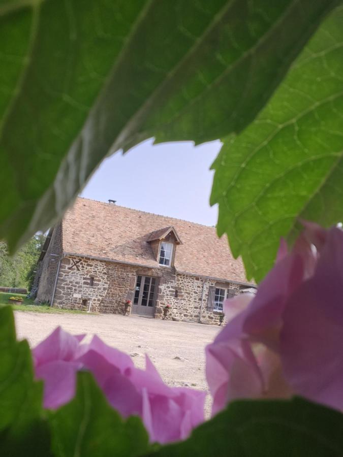 Saint-Aubin-de-Locquenay Les Naturelles מראה חיצוני תמונה